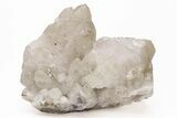 Calcite Crystal Cluster with Pyrite Inclusions - Spain #219071-1